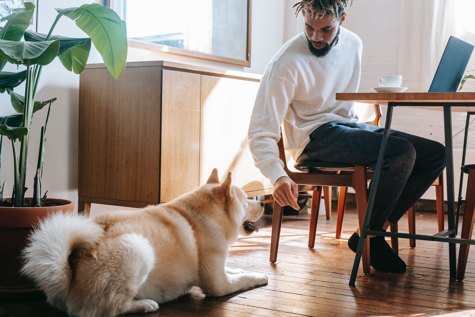 man in white long sleeve shirt sitting on chair beside a dog