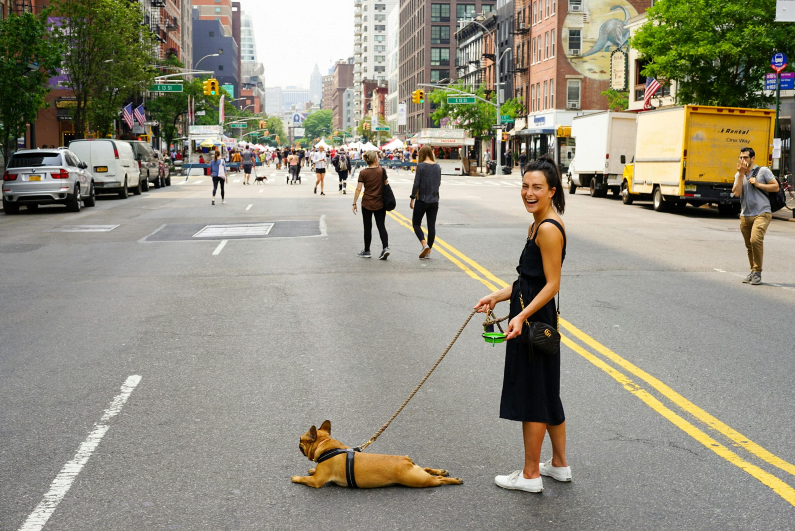 dog laying on the street